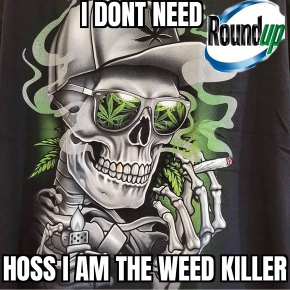 ivygoo4205